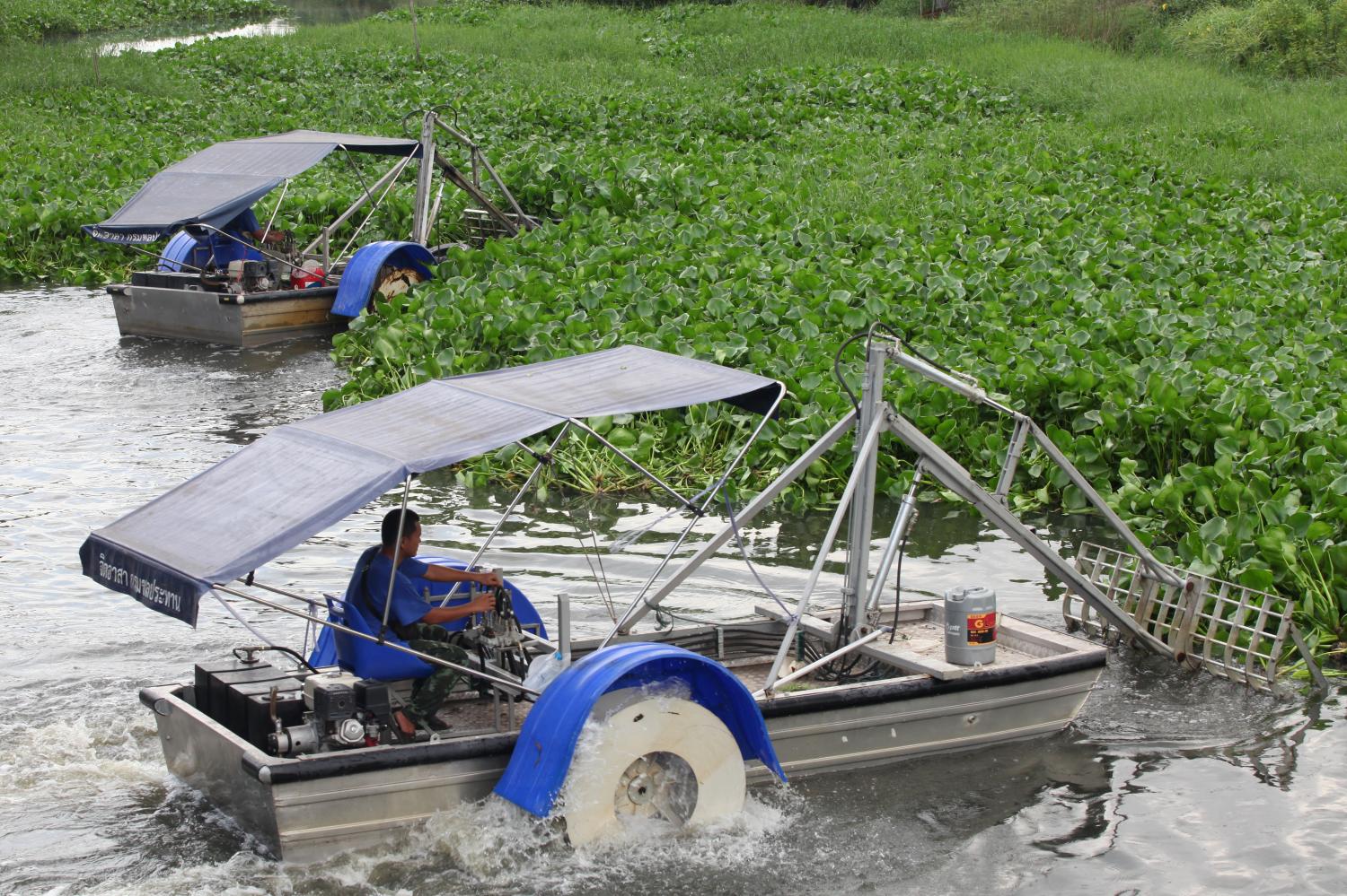 Workers harvest water hyacinth with a converted boat in Khlong Luang district of Pathum Thani. More such boats will be deployed along the area's waterways to control the aquatic weed. Arnun Chonmahatrakool