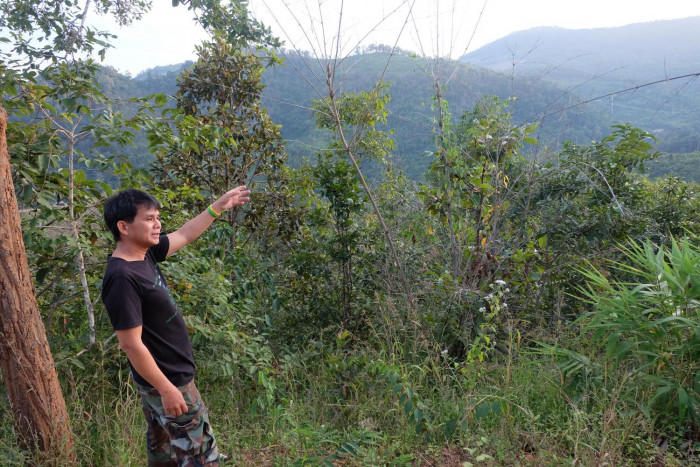 Win-win solution for forests, people