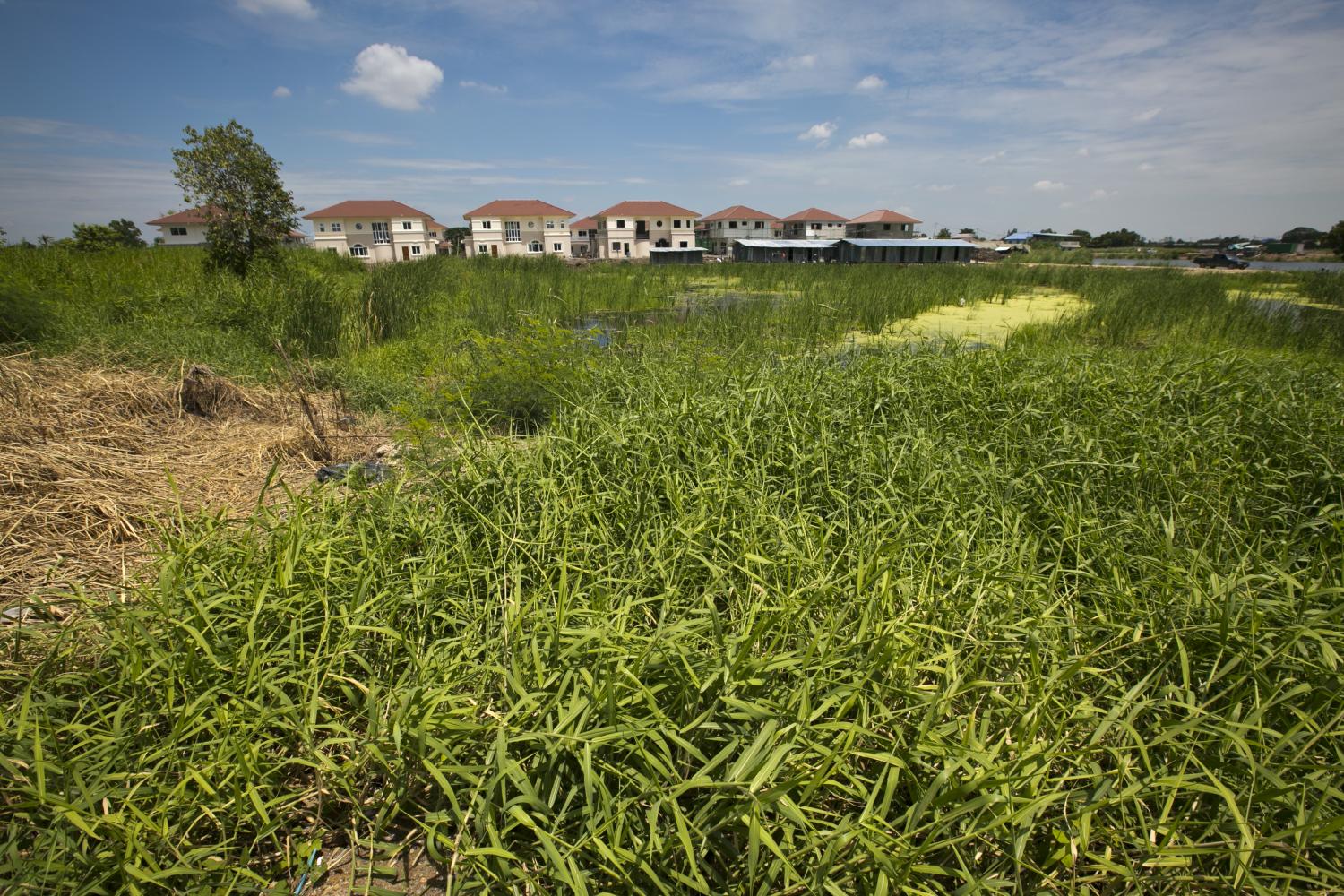 Landlords urged to step up property utilisation