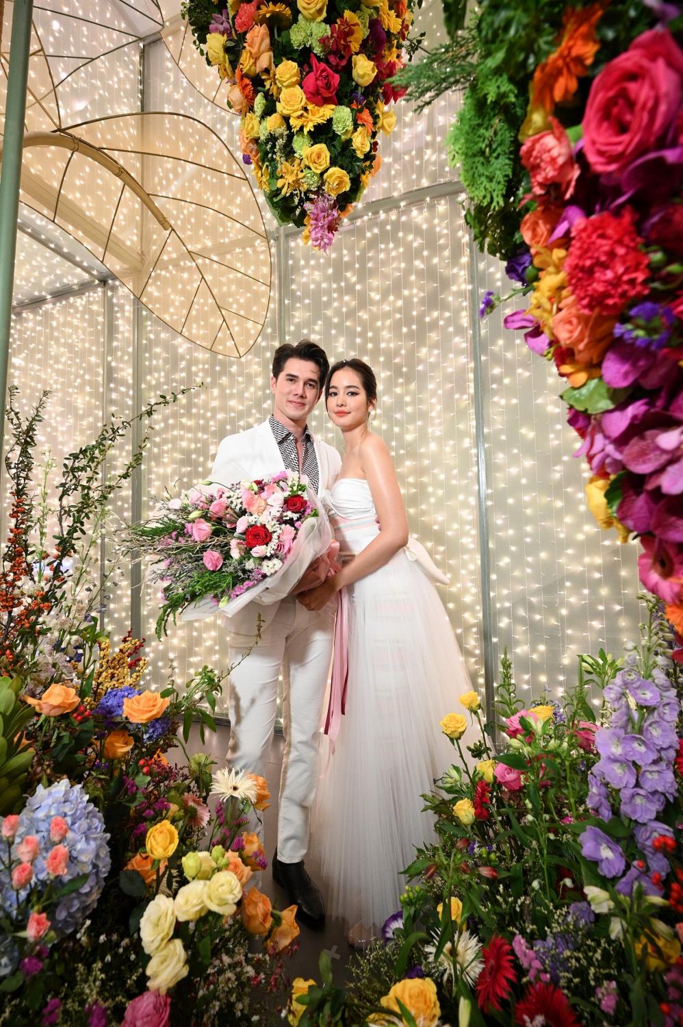 Chiroyli kokraklar titrayapti