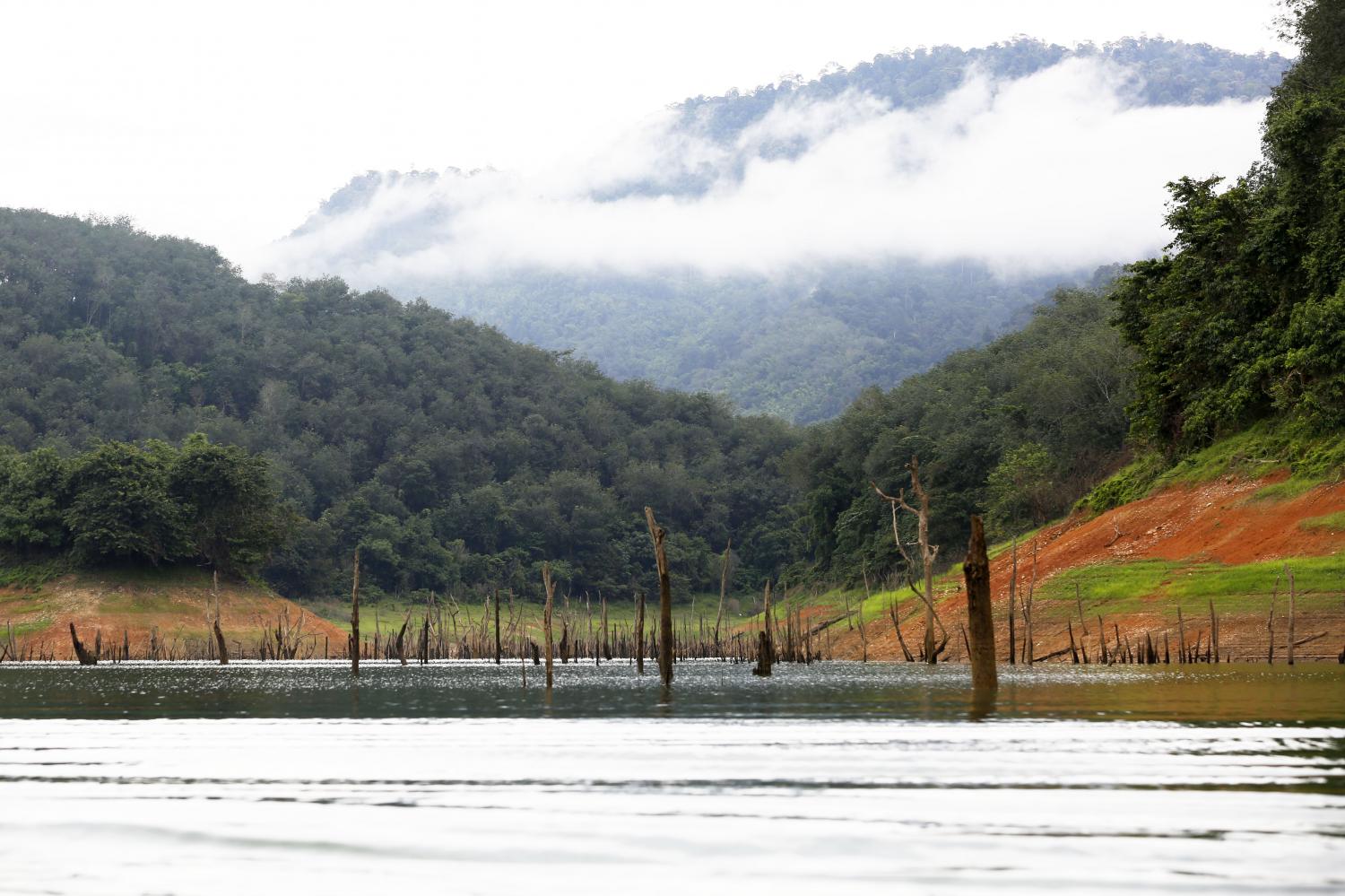 A beautiful view across a valley at the Hala Bala Wildlife Sanctuary in Yala's Betong district. The Ministry of Natural Resources and Environment has set up a panel to study a proposal that the rainforests be listed as an Asean Heritage Park, as urged by Adilan Ali-ishak, a Yala MP from Palang Pracharath Party.