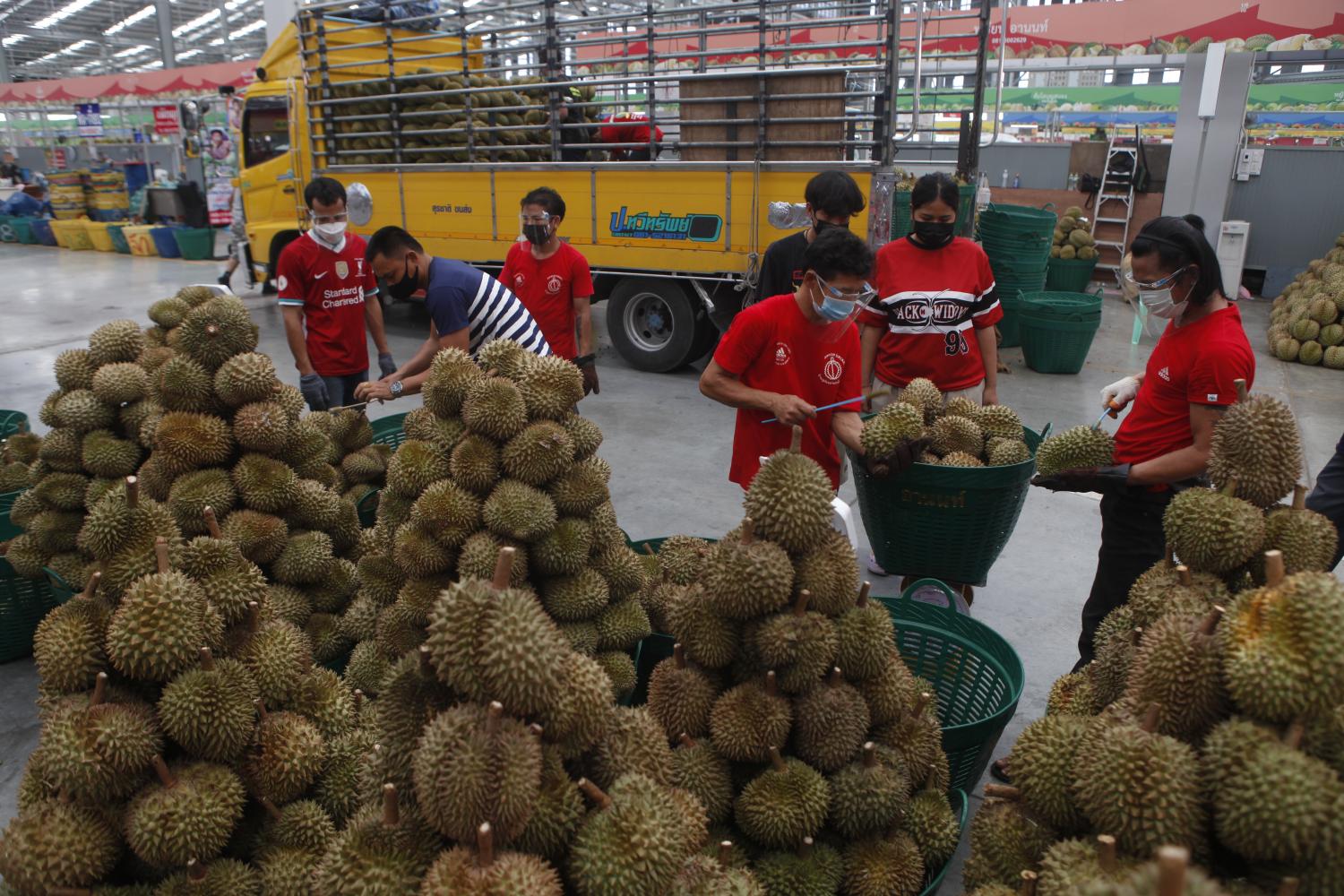 Traders on Wednesday arrange durians into batches ready for distribution at Simummuang Market in Pathum Thani where 867 people there tested positive for the virus. (Photo: Nutthawat Wicheanbut)