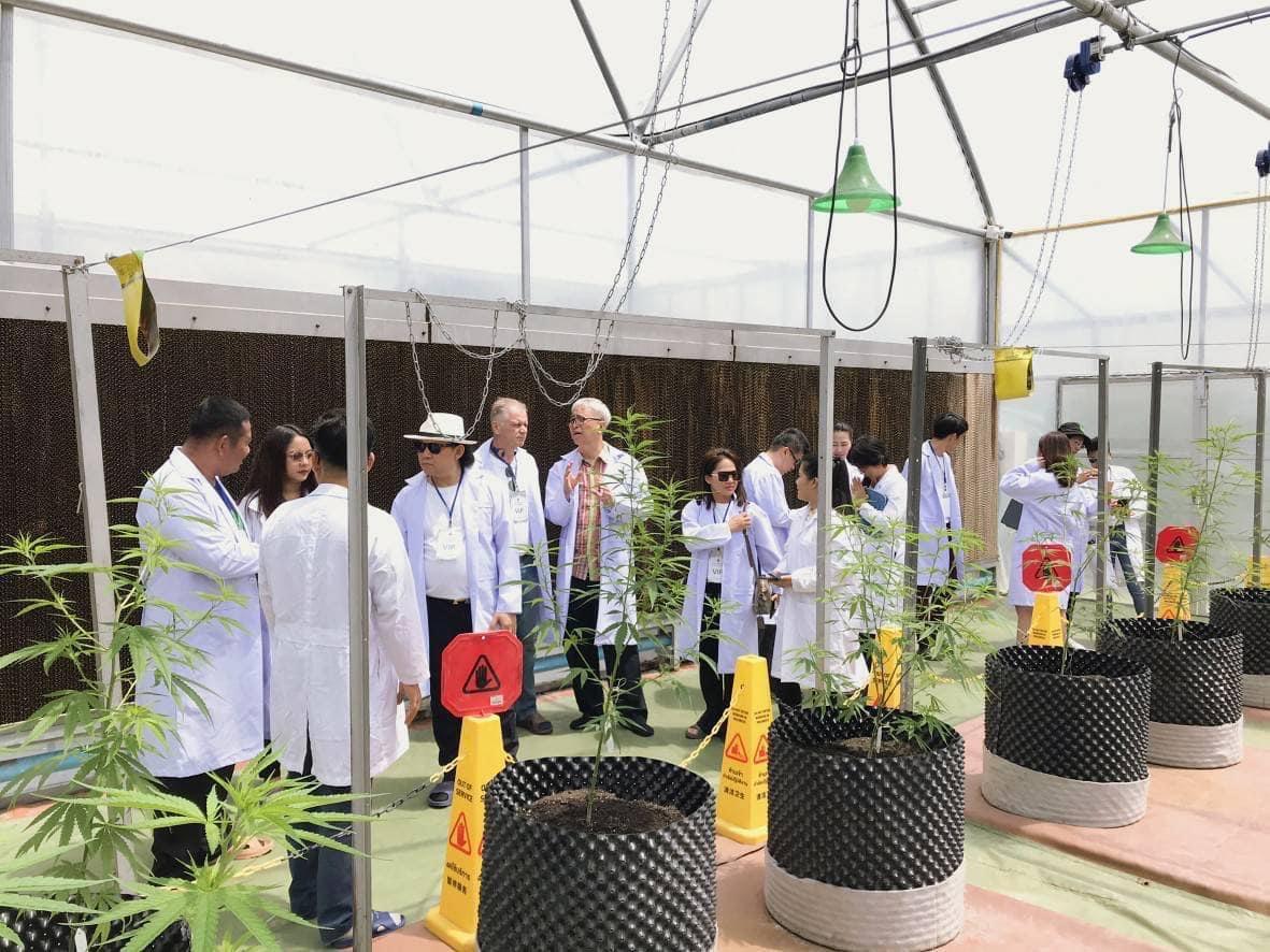Than Global Travel has been offering educational cannabis tours at the Rajamangala University of Technology Isan, Sakon Nakhon Campus. Than Global Travel has been offering educational cannabis tours at the Rajamangala University of Technology Isan, Sakon Nakhon Campus.