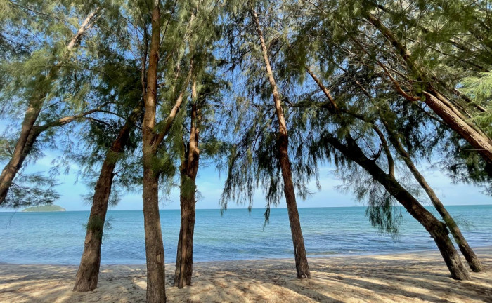 Beyond the coast - Vimarsana News