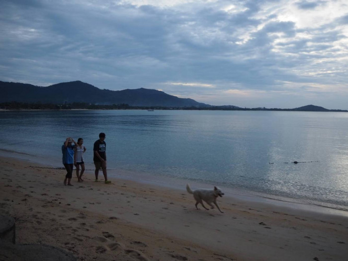 Samui aims for 2,000 guests in 1st month - Vimarsana News