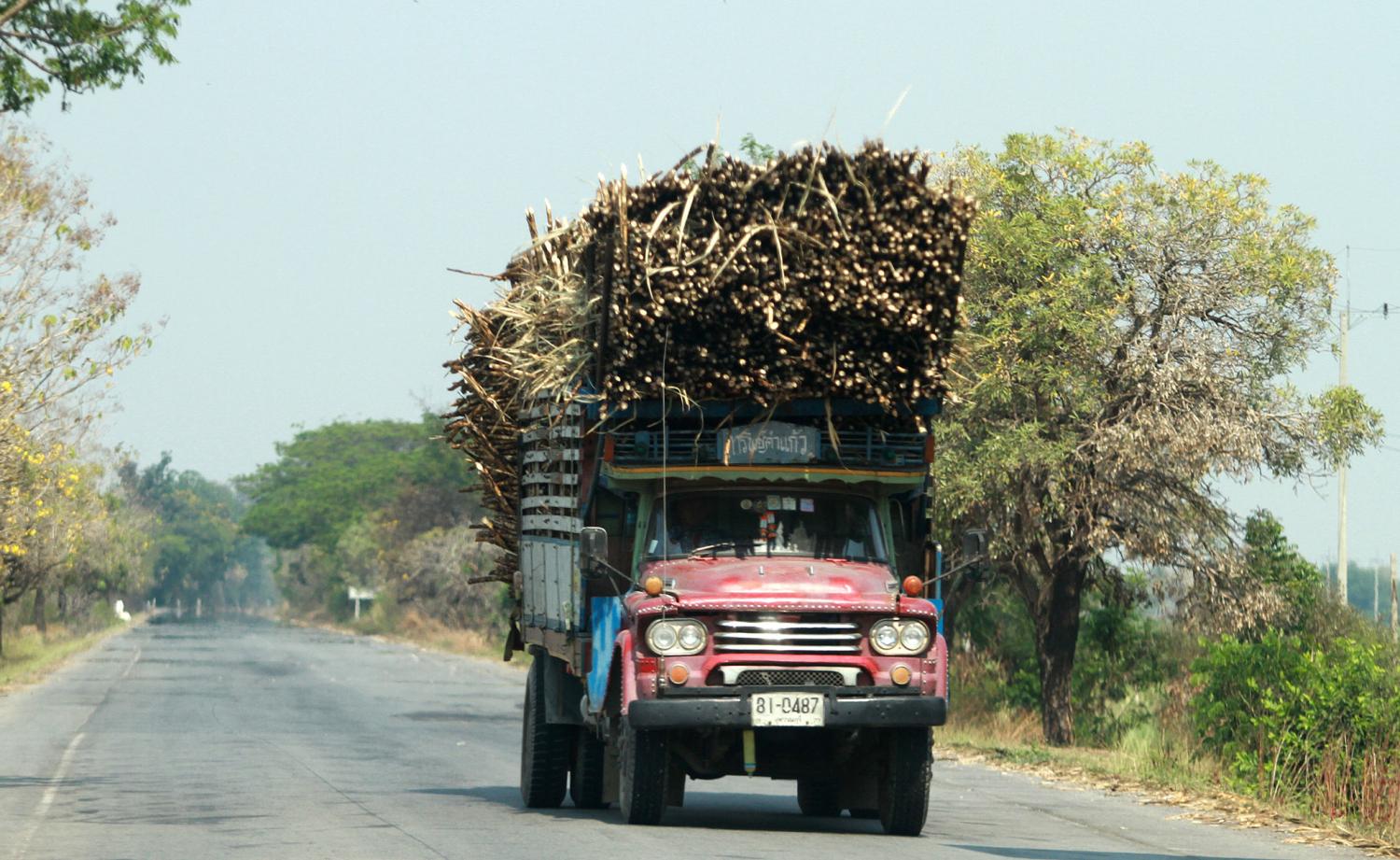 More vaccines needed for sugar sector