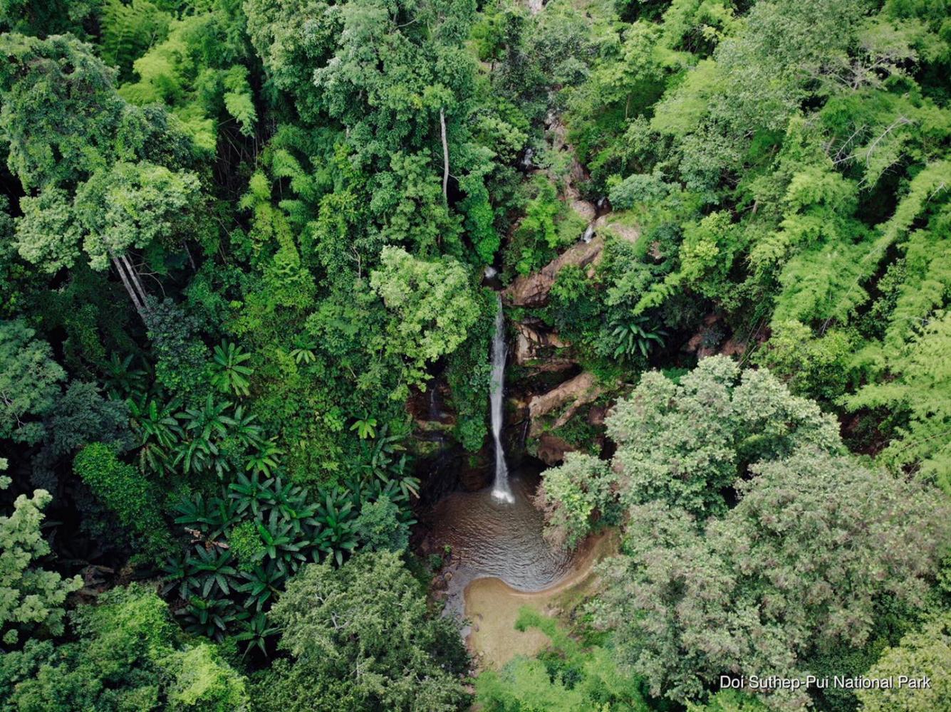 Mok Fa waterfall. (Photos © Doi Suthep-Pui National Park)