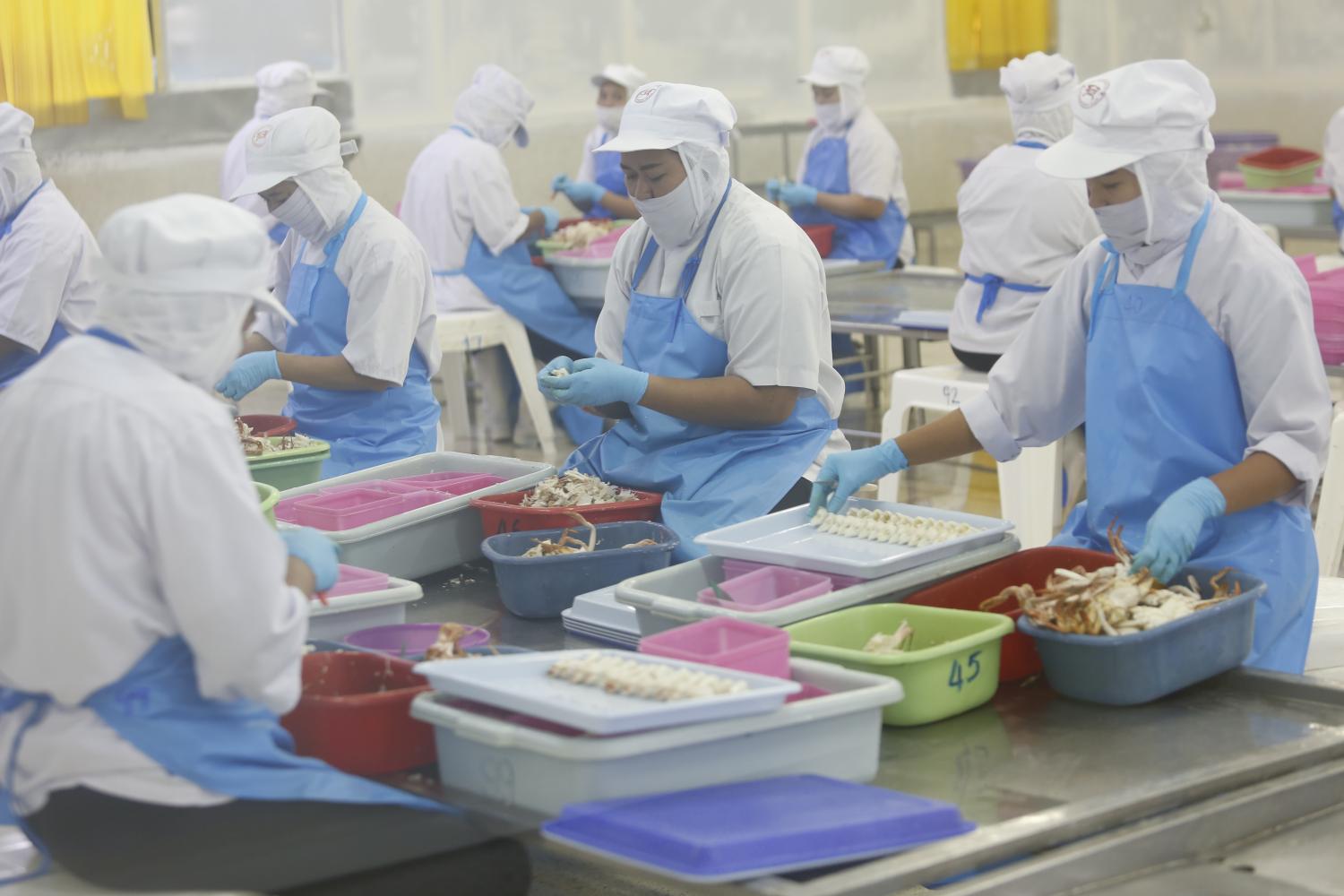 Workers at an assembly line process crab meat for export and domestic consumption.