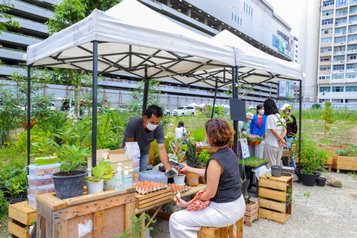 Urban farming in focus at g Garden - Vimarsana News