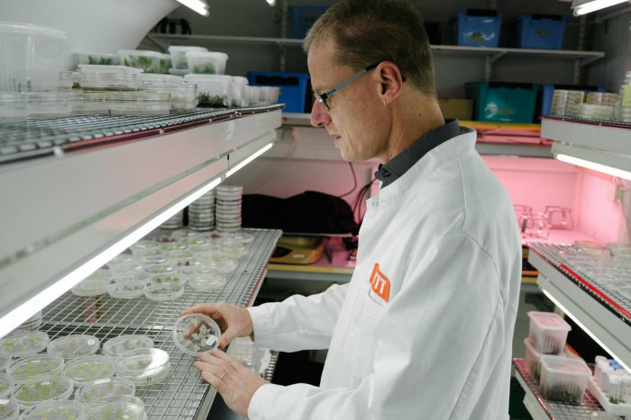 Lab-grown coffee on the way - Vimarsana News