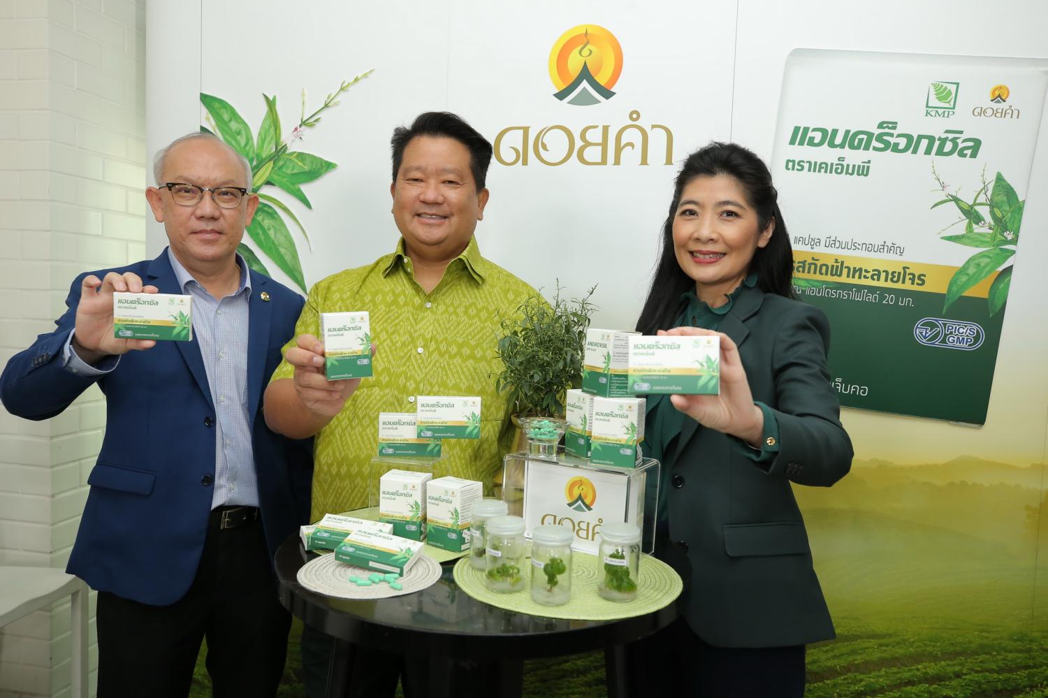 Bangkok Post - Doi Kham plans new extract of noted herb