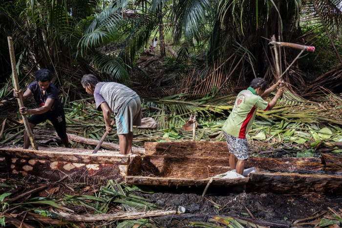 Asia-Pacific's response to COP26 - Vimarsana News