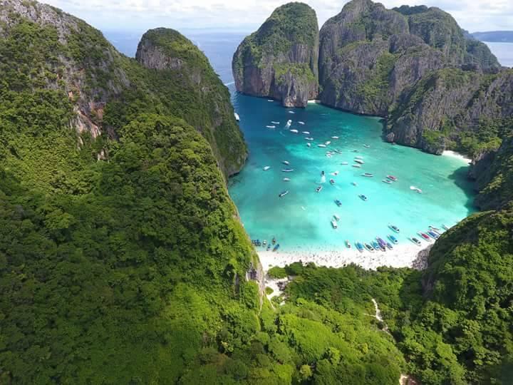 The closure of Maya Bay on Koh Phi Phi helped restore flora and fauna. (Photo courtesy of Hat Noppharat Thara-Mu Koh Phi Phi National Park)