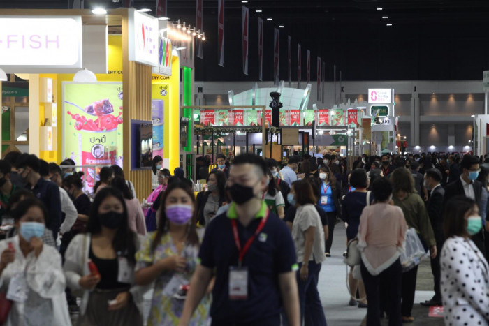 Mice revival on hold as events postponed