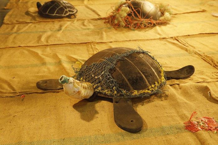 Sea the damage at 'Tangled: Tit Rang Hae' - Vimarsana News