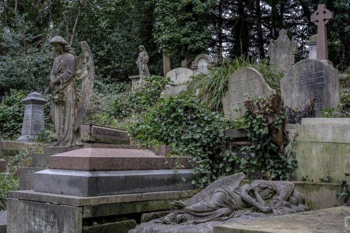 City of the dead inspires the living - Vimarsana News