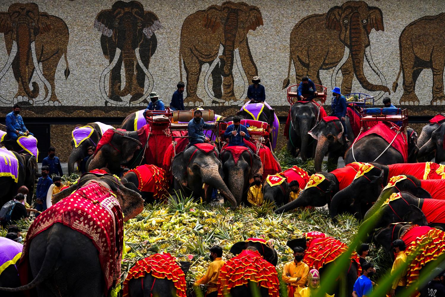 Elephants enjoy a buffet of fruit and vegetables during the National Elephant Day celebration at Nong Nooch Tropical Garden in Pattaya on Sunday. (Reuters photo)