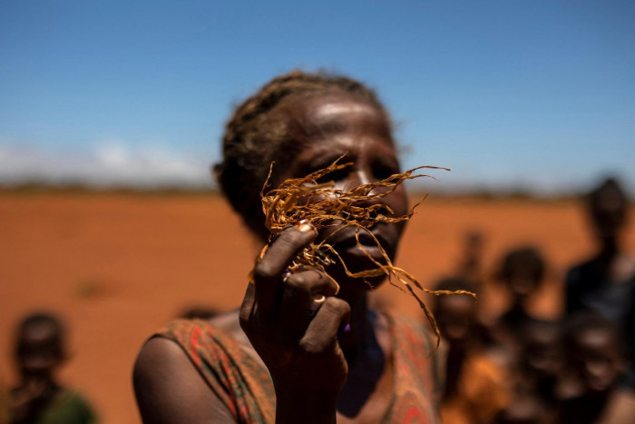 Climate push needs female voice - Vimarsana News