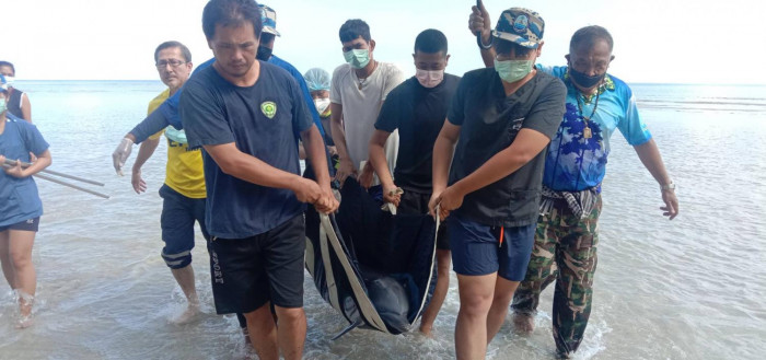Dolphin washes up on Nai Yang beach - Vimarsana News