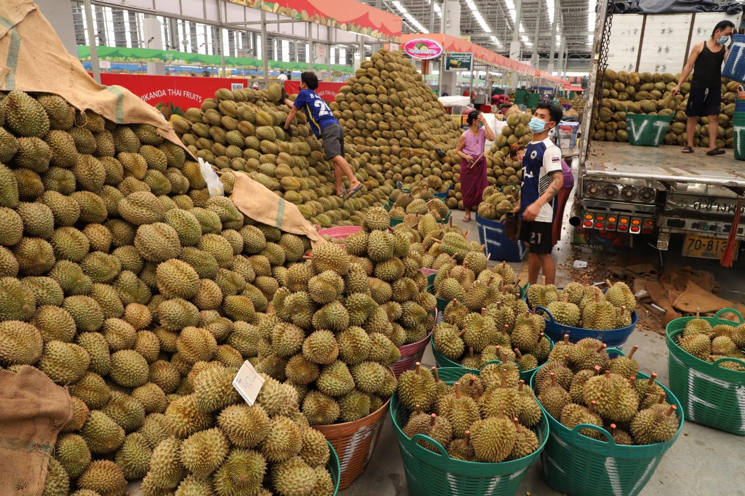 Traders arrange durians into batches at Simummuang market in Pathum Thani. (Photo: Apichit Jinakul)