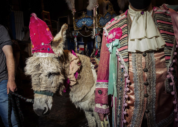 Donkey debuts at the Met Opera - Vimarsana News