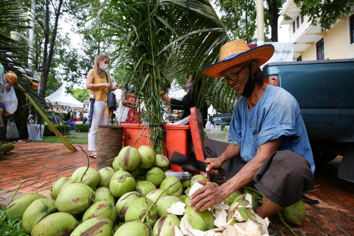 'My coconut farm looks like a forest' - Vimarsana News