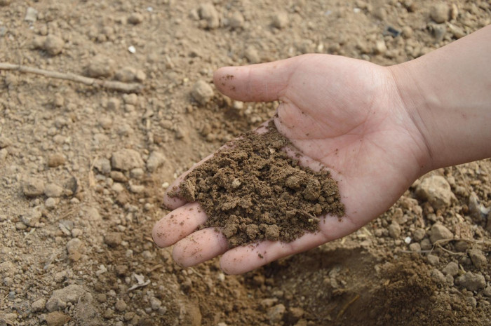 Fertiliser crisis prompts talks with Saudis