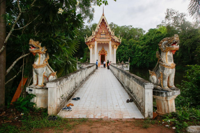 Land of the forest temples