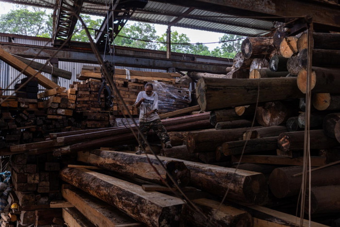 A Hong Kong sawmill's last days - Vimarsana News