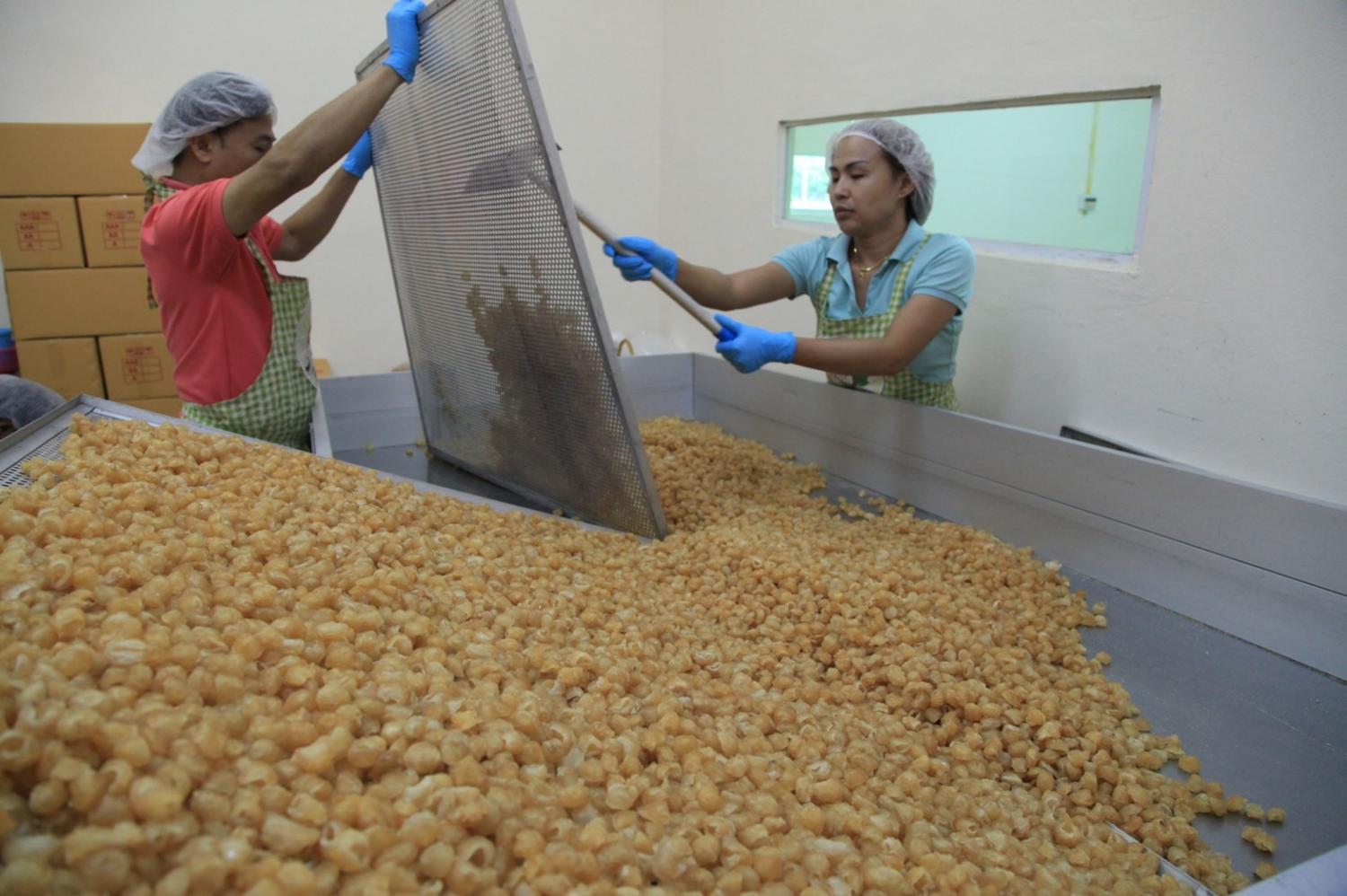 Lamphun golden dried longan obtains GI registry