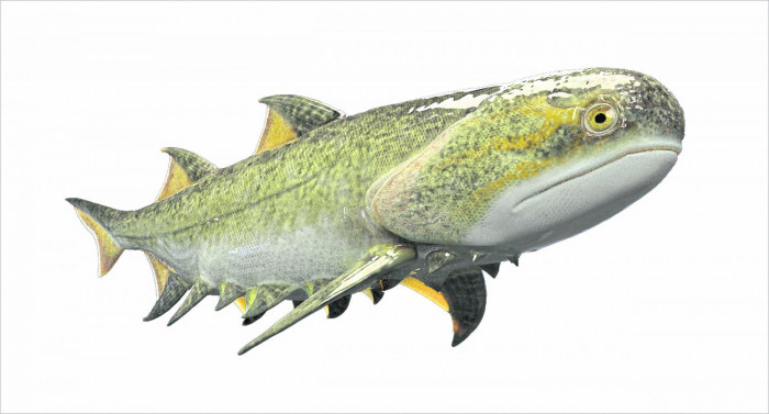 Fossilised fish a prequel of 'Jaws' - Vimarsana News