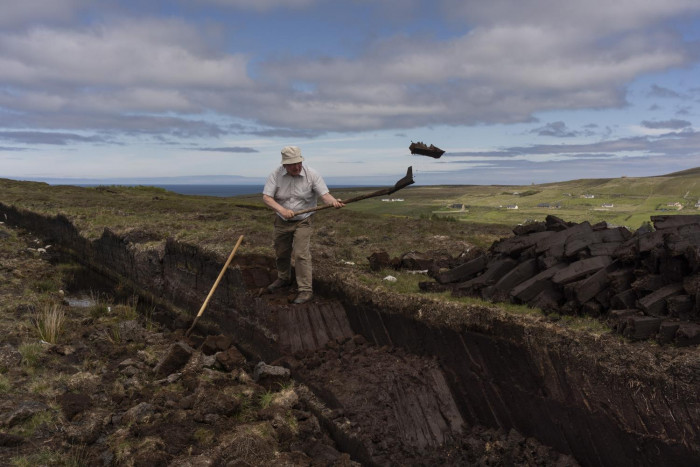 Protecting the peatlands of Ireland - Vimarsana News