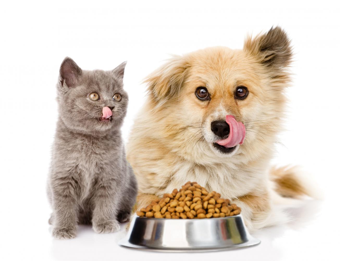 Pet food exports continue to flourish - 'Bangkok Post' News Summary