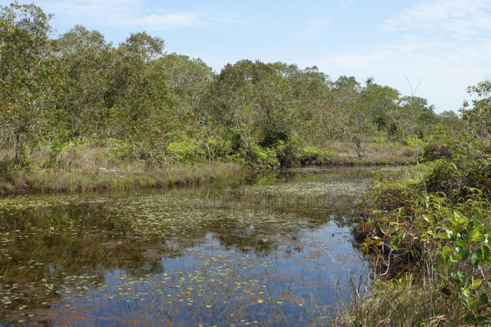 Land tax loophole endangers our environment - Vimarsana News