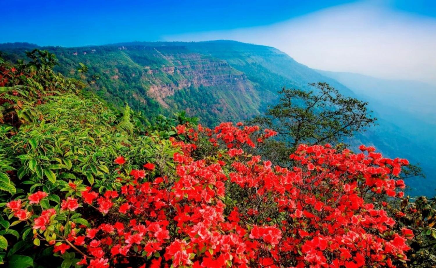 Phu Luang Wildlife Sanctuary. (Photo courtesy of Tourism Authority of Thailand)