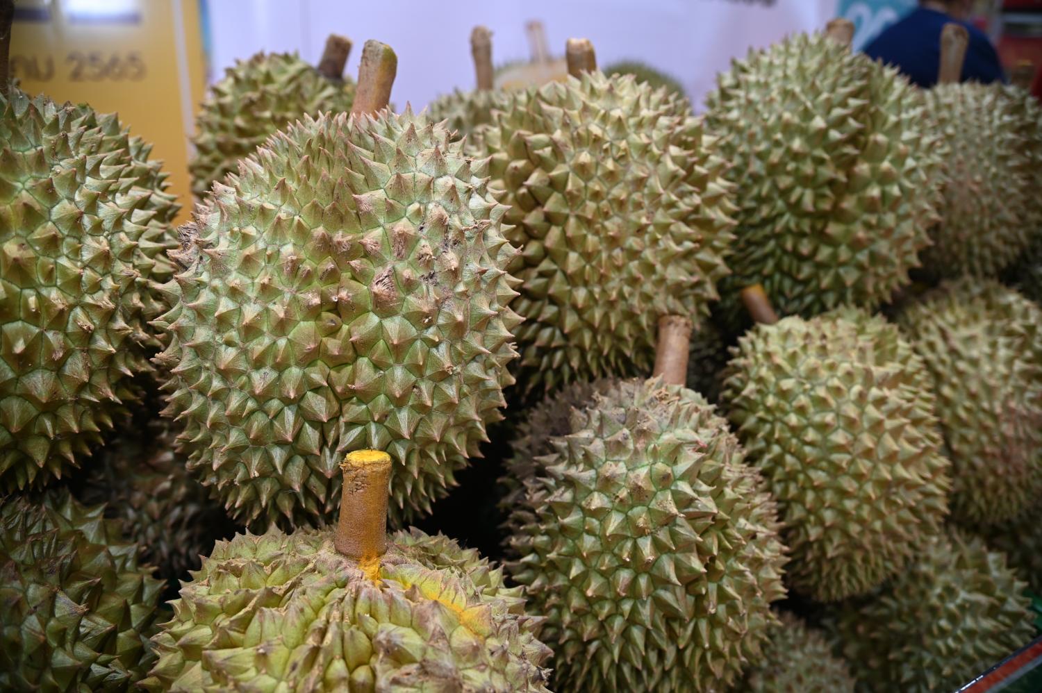 The quality of fruit exports, especially durian, is a concern for the Internal Trade Department.