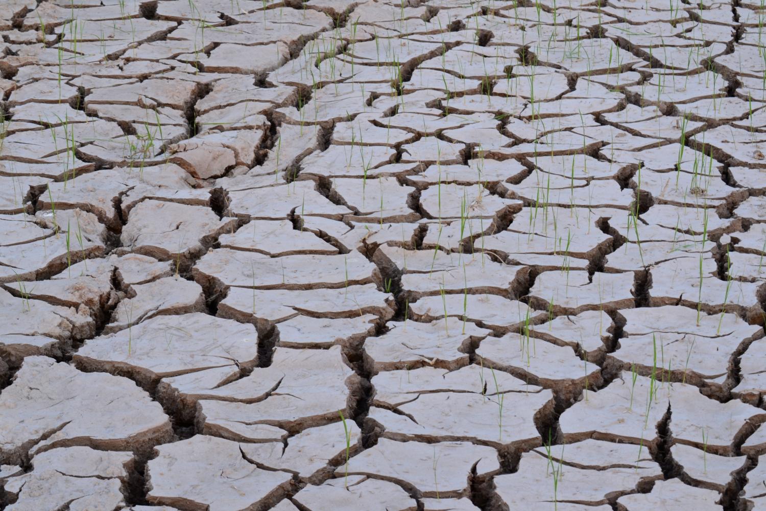 Office fears drought could hit farmers' income next year