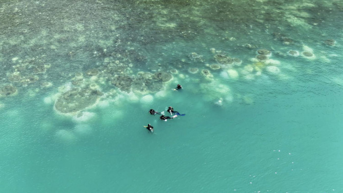 Bangkok Post - Bleaching affects reefs in Phangnga, Krabi - Vimarsana News