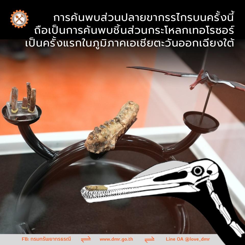 Rare find: Fossil remains of a 130-million-year-old short-tailed pterosaur were uncovered in the eastern province of Sa Kaeo.