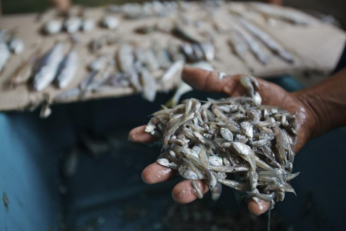 The human toll behind your seafood
