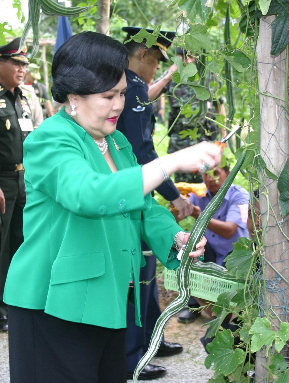 Her Majesty Queen Sirikit and then HRH Prince Maha Vajiralongkorn visited the Demonstration Farm in Narathiwat.