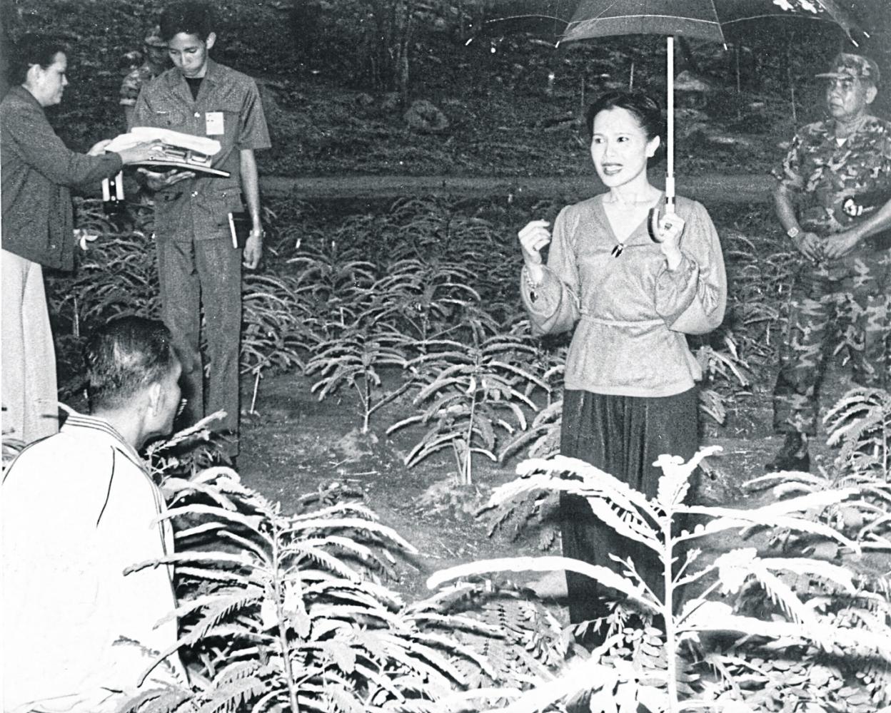 Queen Sirikit always showed dedicating efforts to forest restoration and the promotion of human-forest co-existence.