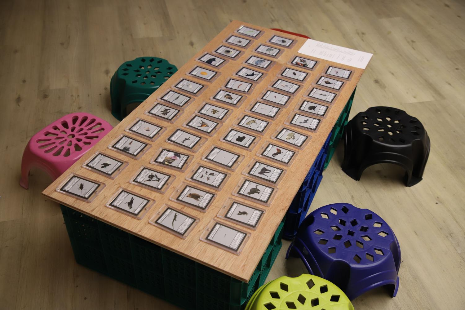 Animal game cards.