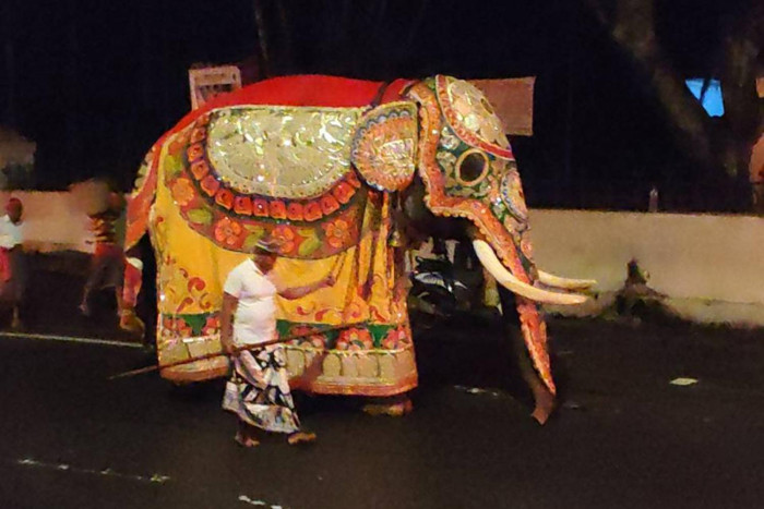 Bangkok Post - Thailand, Sri Lanka deepen ties at 70 years