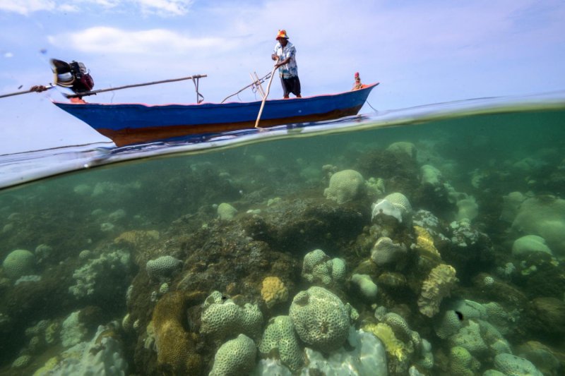 File photo dated May 10, 2024 shows Sommay Singsura, a fisherman, is seen close to bleached corals near Chao Lao Beach, Chantaburi province, Thailand. (Photo: Reuters)