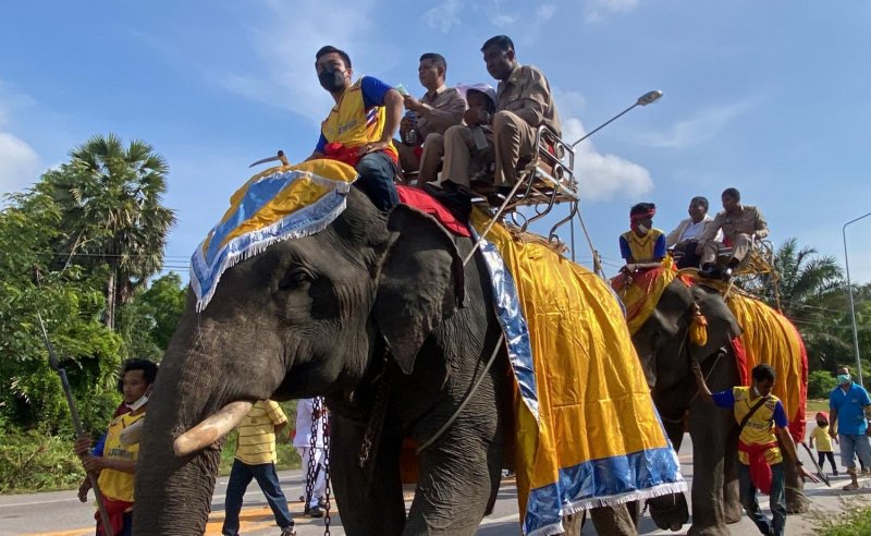 File photo dated Jan 1, 2022 shows local politicians in Surat Thani province riding to work on an elephant's back. Surapong Chaolan
