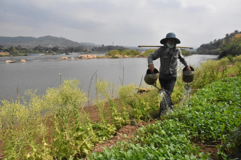 Will MRC acknowledge the crisis?