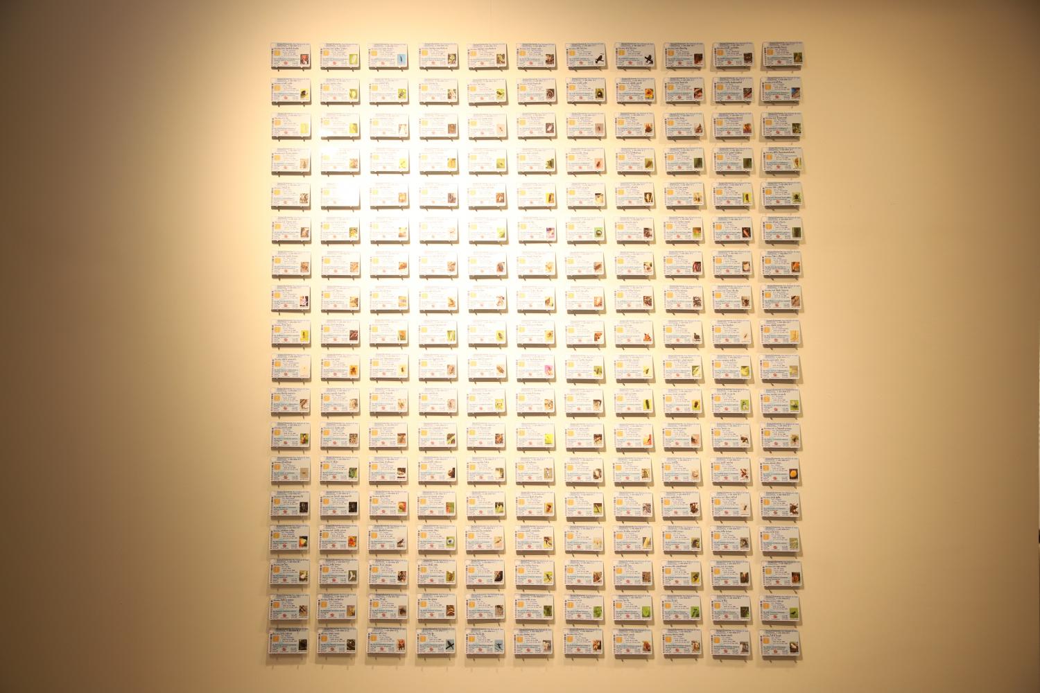 โครงการนำร่องการขึ้นทะเบียนประชากรรายย่อยในเขตประเวศ โดย หัสกร หิรัญสิริโชค