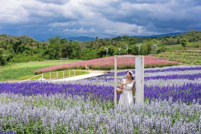 Ministerio de Turismo impulsa medidas para reactivar sector a pesar de crisis política