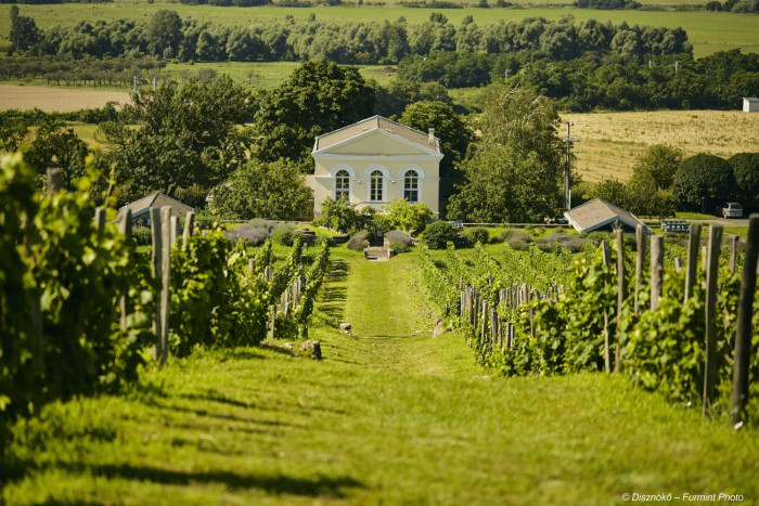 Building brand power via sport and culture